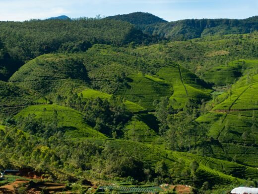 Nuwara Eliya