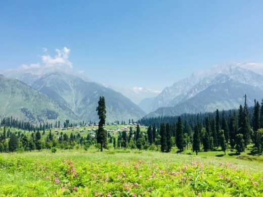 Pahalgam2