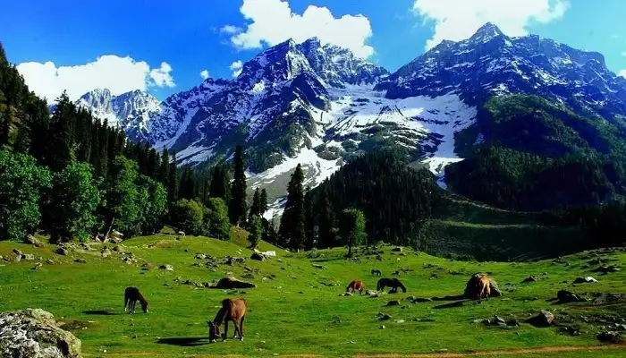 Khilanmarg